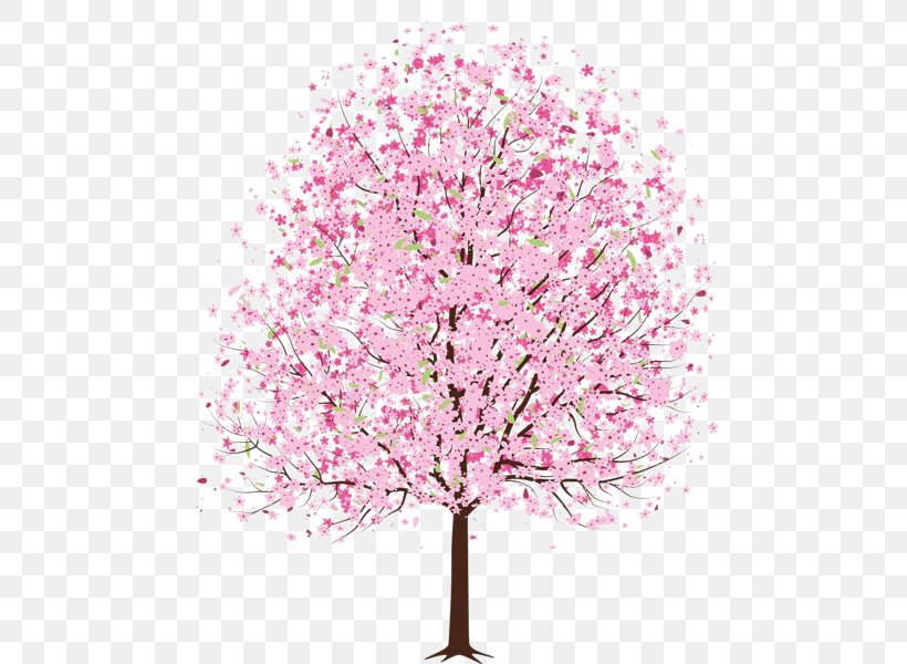 Cherry Blossom Tree Clip Art, PNG, 494x600px, Cherry Blossom, Blossom, Branch, Cherry, Floral Design Download Free