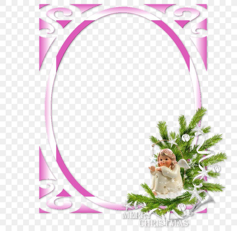 Photography Picture Frames, PNG, 800x800px, Photography, Christmas, Christmas Decoration, Flora, Floral Design Download Free