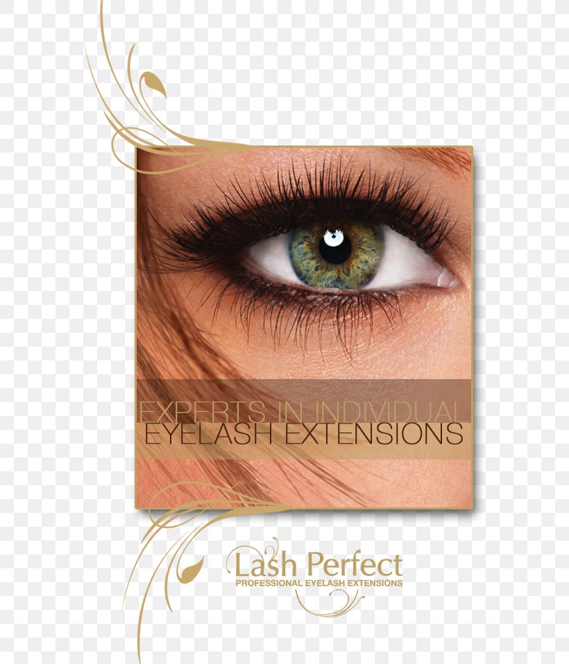 Eyelash Extensions Beauty Parlour Artificial Hair Integrations, PNG, 580x958px, Watercolor, Cartoon, Flower, Frame, Heart Download Free