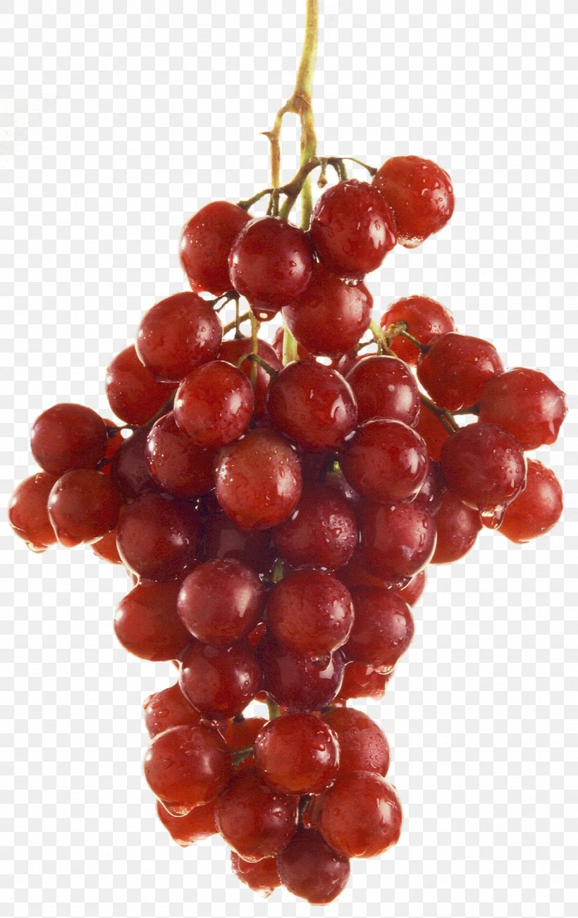 Grape Red Wine Juice Barbera Flame Seedless, PNG, 1307x2076px, Grape, Barbera, Berry, Common Grape Vine, Cranberry Download Free