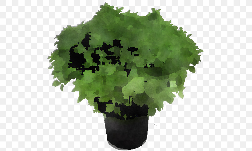 Leaf Leaf Vegetable Herb Flowerpot Tree, PNG, 515x491px, Leaf, Biology, Flowerpot, Herb, Leaf Vegetable Download Free