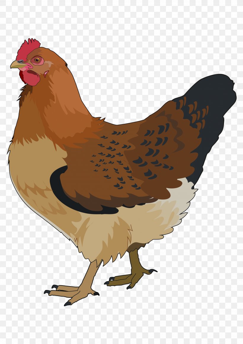 Rooster Chicken Bird Silhouette, PNG, 2480x3508px, Rooster, Beak, Bird, Chicken, Comb Download Free