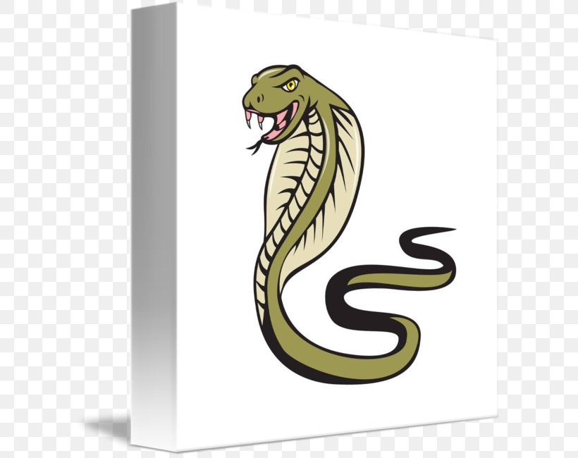 Snake Vipers Drawing Royalty-free, PNG, 606x650px, Snake, Cartoon, Cobra, Drawing, Illustrator Download Free