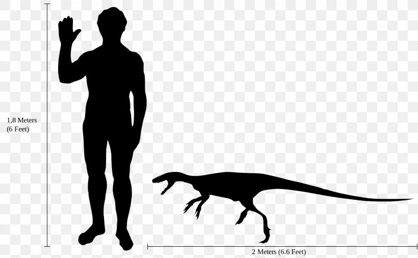 Staurikosaurus Thescelosaurus Microraptor Deinonychus Dilophosaurus, PNG, 1600x988px, Staurikosaurus, Black, Black And White, Carnian, Chindesaurus Download Free
