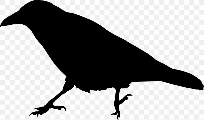 American Crow Bird Raven Clip Art, PNG, 2308x1358px, American Crow, Beak, Bird, Black And White, Common Raven Download Free