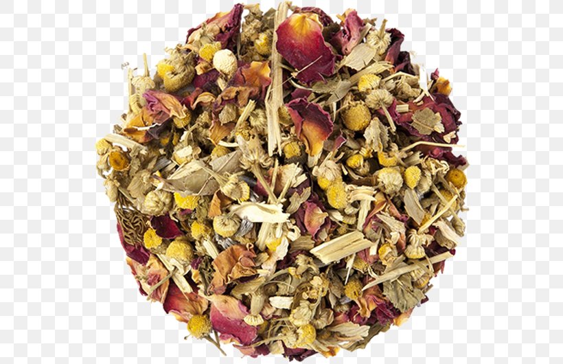 Herbal Tea Infusion Health, PNG, 570x530px, Tea, Bebida Estimulante, Black Tea, Camellia Sinensis, Chemist Warehouse Download Free