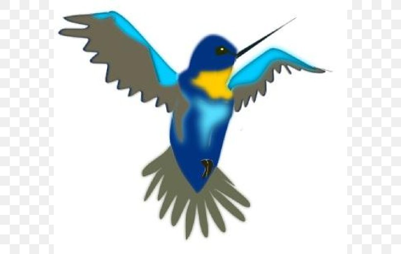Hummingbird Drawing Cartoon Clip Art, PNG, 600x520px, Hummingbird, Art, Beak, Bird, Bluebird Download Free