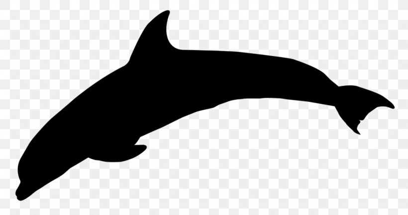 Dolphin Dog Killer Whale Mammal Clip Art, PNG, 1024x541px, Dolphin, Beak, Black M, Bottlenose Dolphin, Canidae Download Free