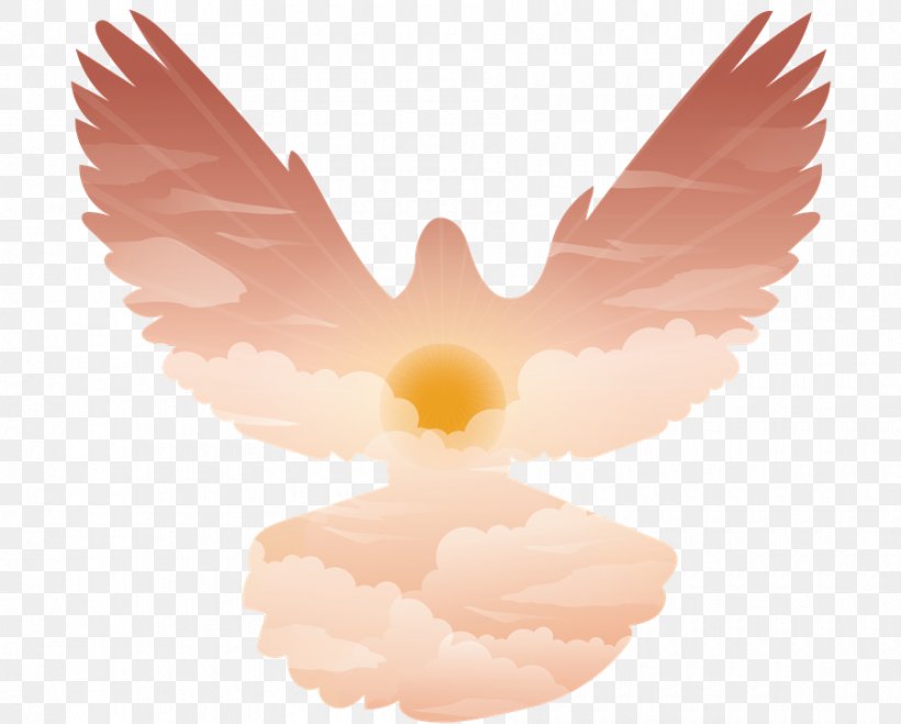 Photography, PNG, 900x724px, Photography, Angel, Beak, God, Logo Download Free