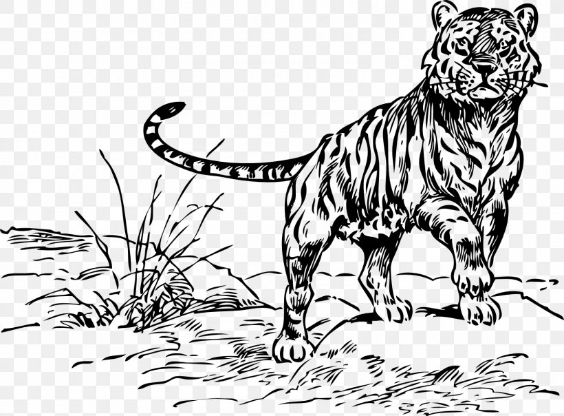 Tiger Drawing Line Art Lion, PNG, 1600x1180px, Tiger, Animal Figure, Art, Big Cat, Big Cats Download Free