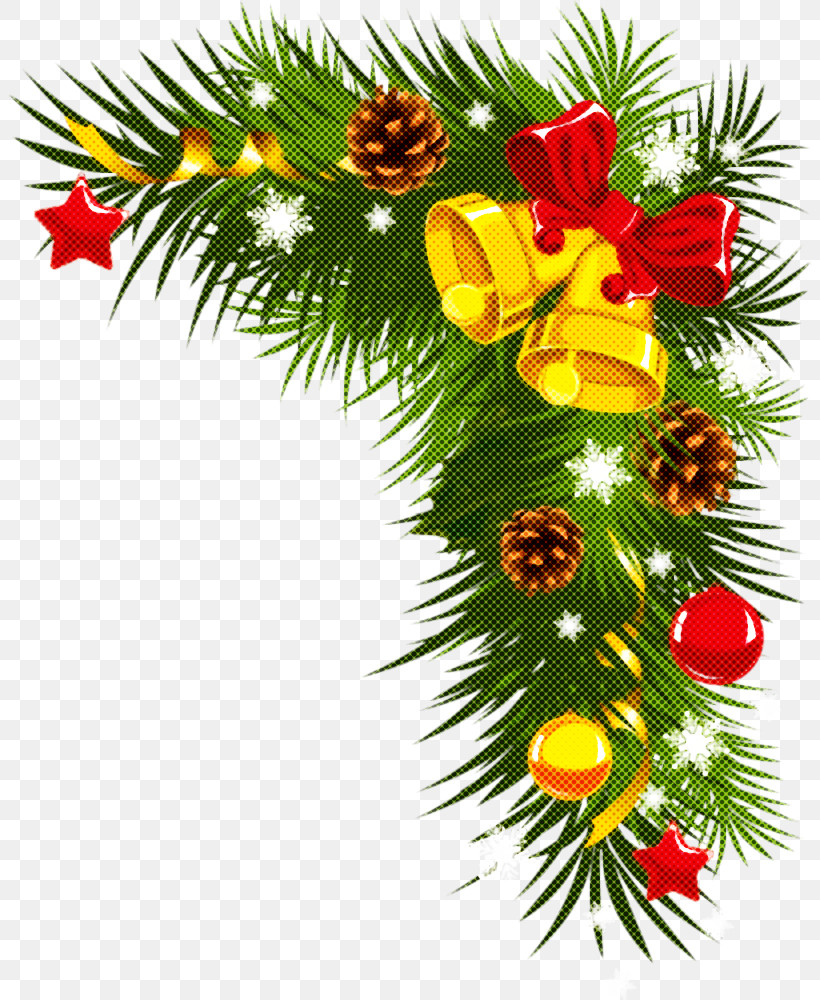 Christmas Ornaments Christmas Decoration Christmas, PNG, 802x1000px, Christmas Ornaments, Branch, Christmas, Christmas Decoration, Colorado Spruce Download Free