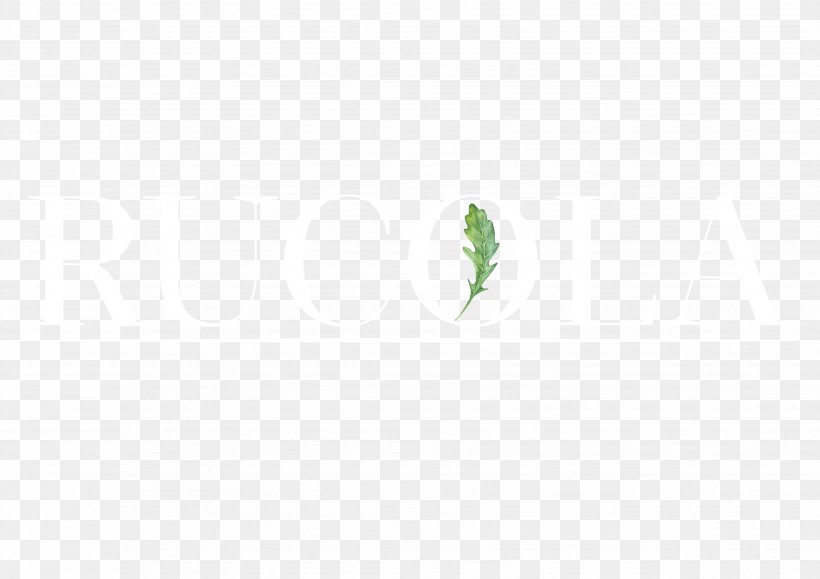 Logo Font Leaf Grasses Plant Stem, PNG, 3508x2480px, Logo, Branch, Computer, Grass, Grass Family Download Free