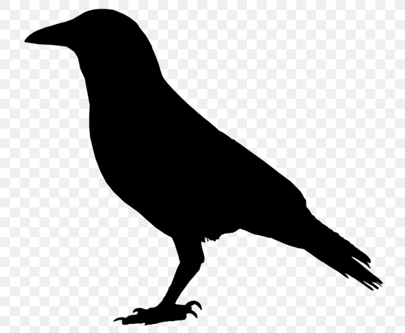 American Crow Common Raven Clip Art, PNG, 768x674px, Crow, American Crow, Art, Beak, Bird Download Free