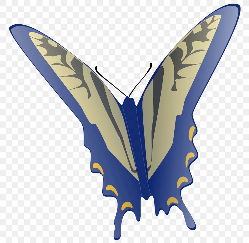 Butterfly Free Content Clip Art, PNG, 778x800px, Butterfly, Arthropod, Drawing, Free Content, Insect Download Free