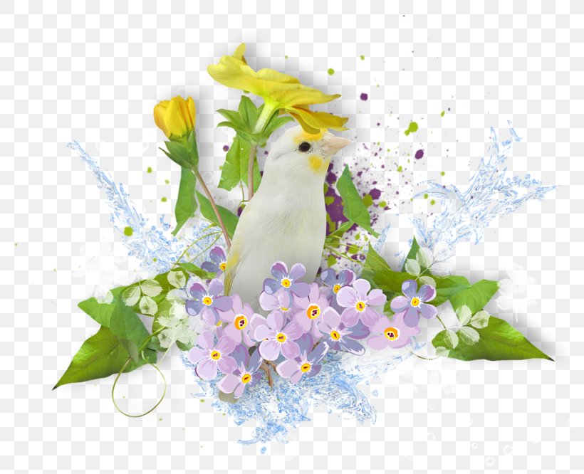 Flower Clip Art, PNG, 800x666px, Flower, Art, Blossom, Branch, Cartoon Download Free