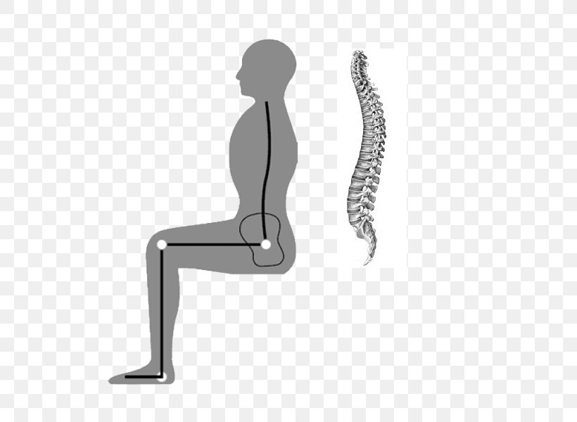 Human Leg Hip Anatomy Vertebral Column Chair, PNG, 600x600px, Human Leg, Anatomy, Arm, Back, Chair Download Free