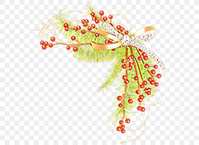 Plant, PNG, 554x600px, Plant Download Free