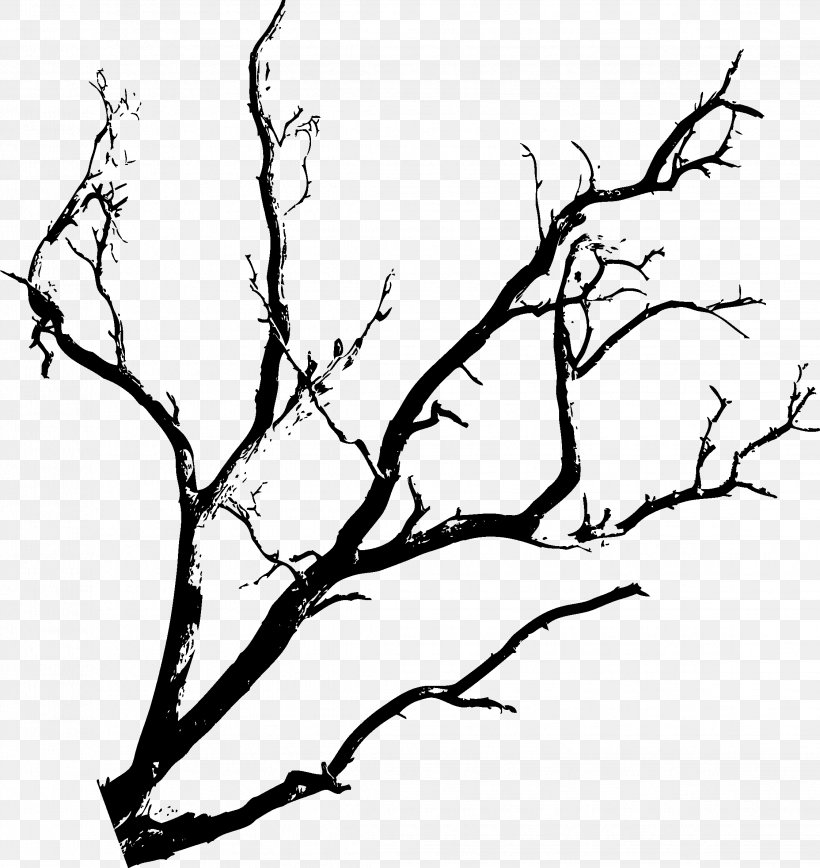 Red–black Tree Halloween, PNG, 2244x2378px, Tree, Black, Black And White, Branch, Flora Download Free