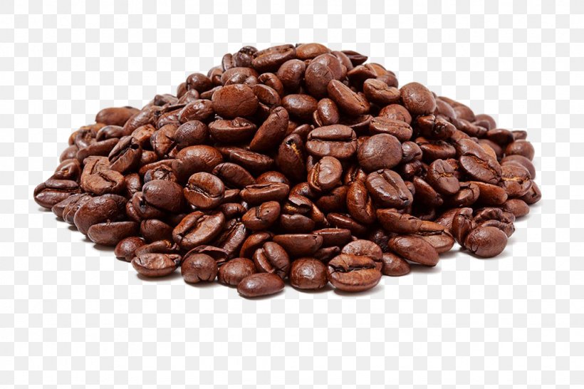 Coffee Bean Cocoa Bean Caryopsis, PNG, 1024x683px, Coffee, Bean, Caffeine, Caryopsis, Chocolate Download Free