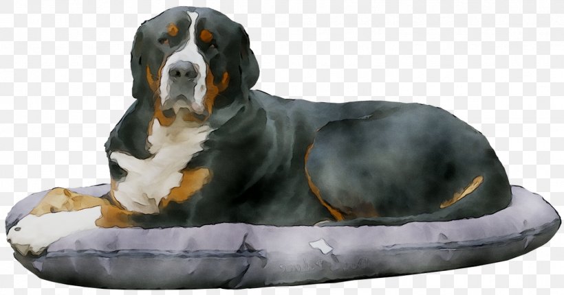 Dog Breed Bernese Mountain Dog Greater Swiss Mountain Dog Entlebucher Mountain Dog, PNG, 1446x759px, Dog Breed, Bernese Mountain Dog, Breed, Canidae, Carnivore Download Free