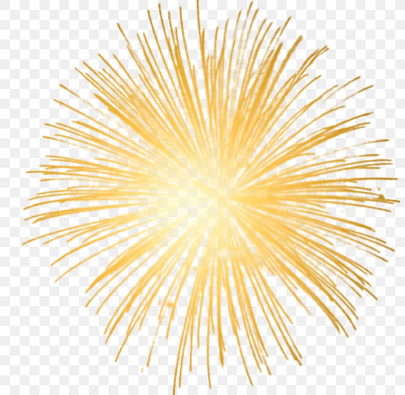 Fireworks New Year's Eve Clip Art, PNG, 800x800px, Fireworks, Adobe Fireworks, Firecracker, Google Images, Light Download Free