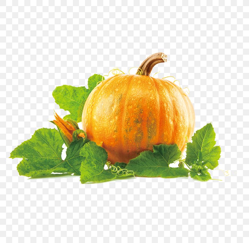 New Hampshire Pumpkin Festival Pumpkin Pie Clip Art, PNG, 800x800px, New Hampshire Pumpkin Festival, Calabaza, Cucumber Gourd And Melon Family, Cucurbita, Food Download Free