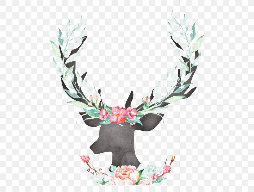Reindeer Antler Deer Horn, PNG, 550x620px, Deer, Antler, Deer Horn, Deer Hunting, Painting Download Free
