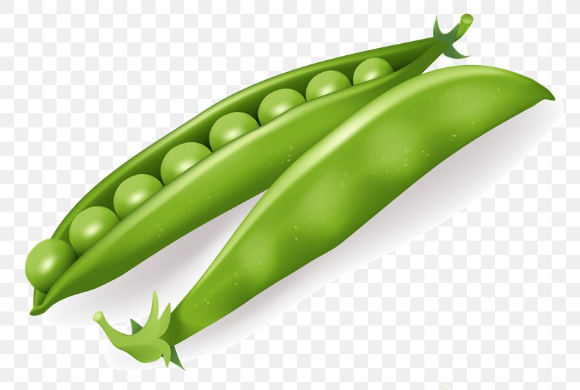 Leaf Vegetable Pea, PNG, 800x551px, Vegetable, Bean, Bell Pepper, Broad Bean, Chili Pepper Download Free