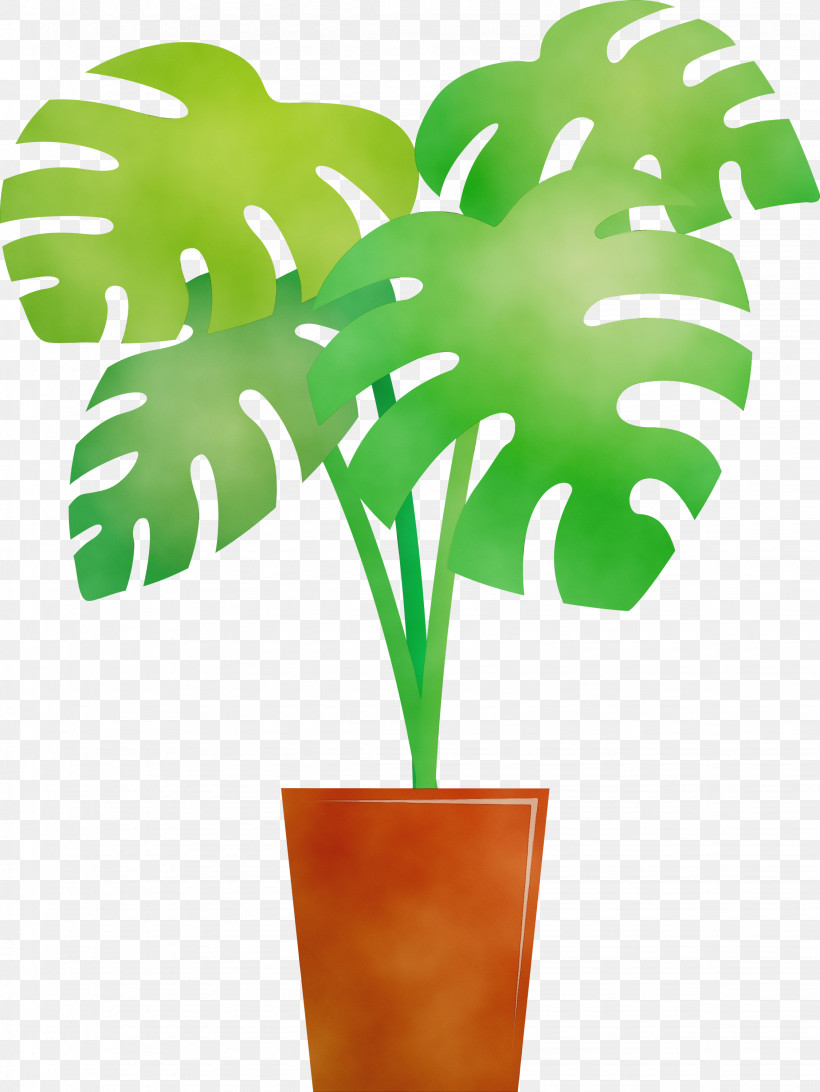 Palm Trees, PNG, 2251x3000px, Monstera, Arecales, Biology, Flowerpot, Green Download Free