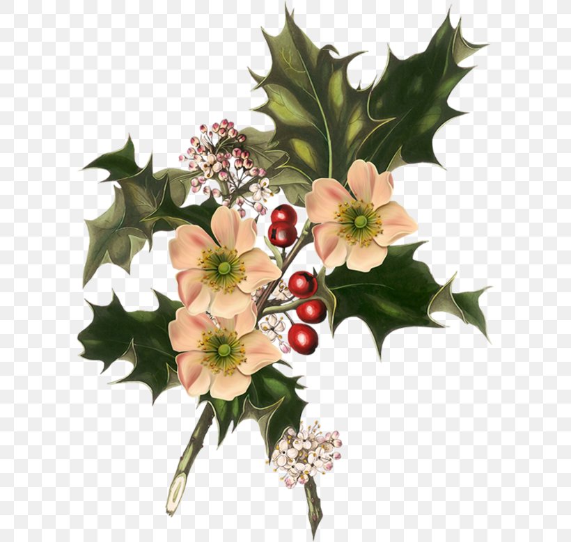 Flower Floral Design Clip Art Christmas Day Common Holly, PNG, 600x779px, Flower, Aquifoliaceae, Artificial Flower, Botany, Christmas Card Download Free