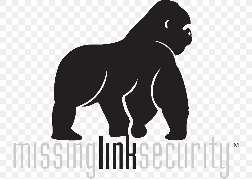 Gorilla Dog Missing Link Security Phyleo Bear, PNG, 732x583px, Gorilla, Ape, Bear, Black, Black And White Download Free