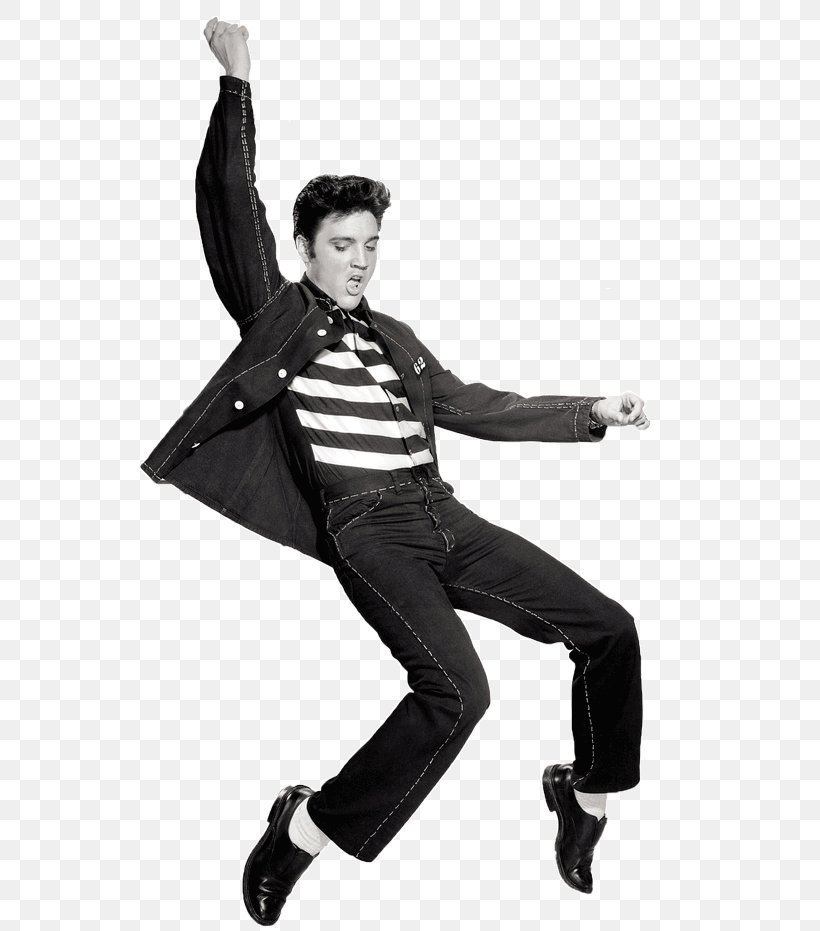 Jaihouse Rock Graceland Elvis Presley : Jailhouse Rock Elvis [Tribute To Elvis Presley, Pioneer And King], PNG, 750x931px, Watercolor, Cartoon, Flower, Frame, Heart Download Free
