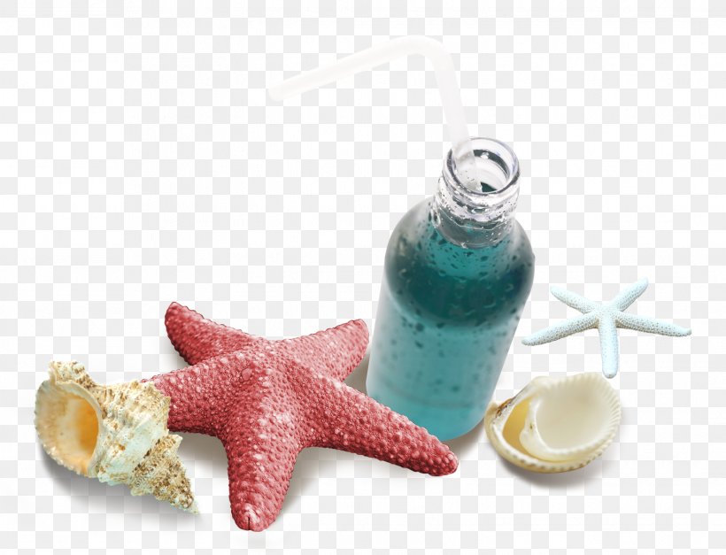 Starfish Download Computer File, PNG, 1524x1166px, Starfish, Bottle, Chemical Element, Conch, Designer Download Free