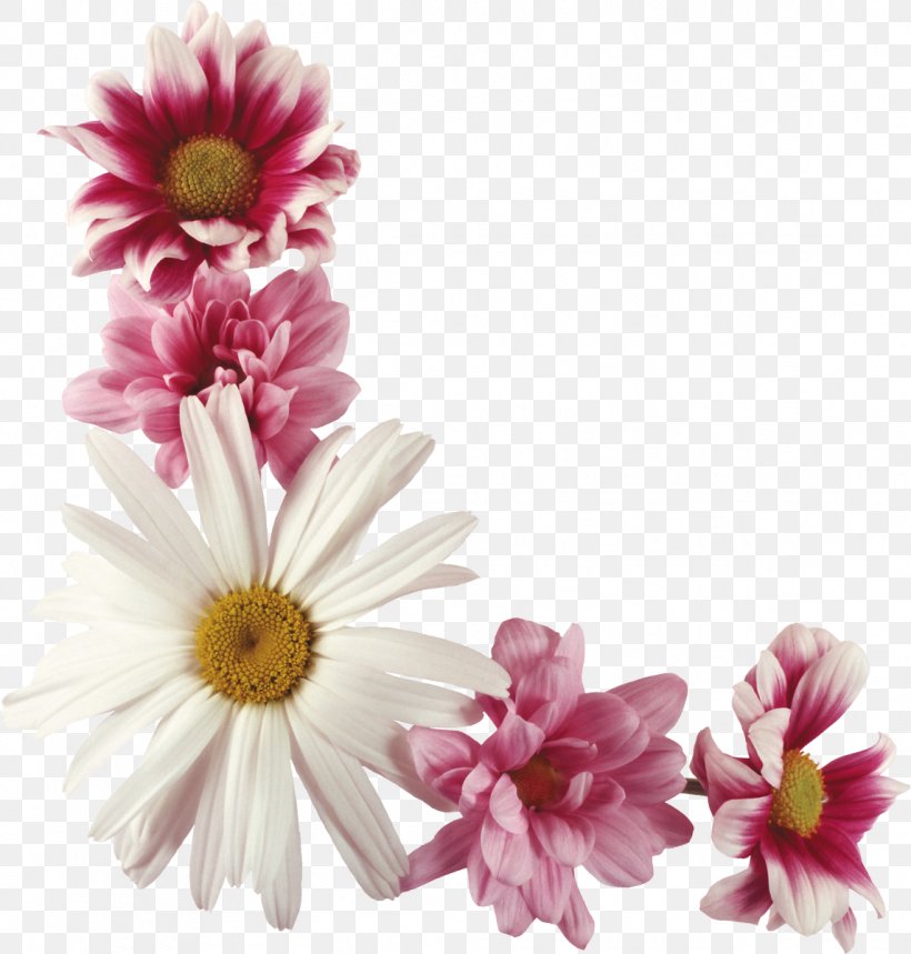 Tatiana Day Holiday Ansichtkaart Name Day, PNG, 1145x1200px, Tatiana Day, Ansichtkaart, Chrysanths, Cut Flowers, Dahlia Download Free