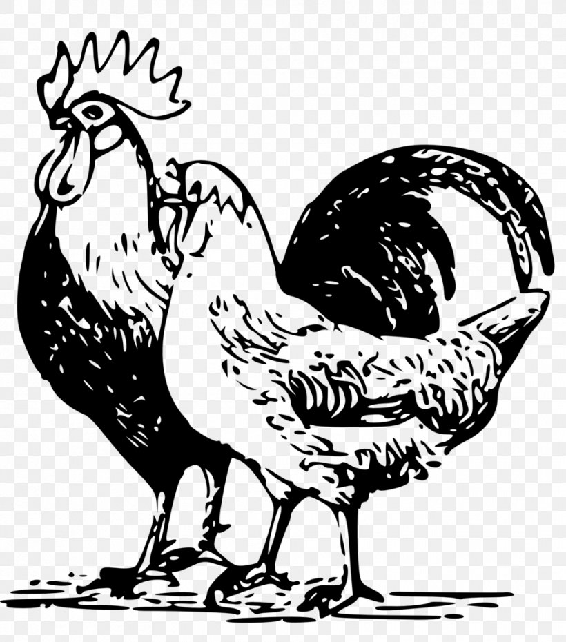 Chicken Poultry Farming Rooster, PNG, 958x1087px, Chicken, Art, Artwork, Beak, Bird Download Free