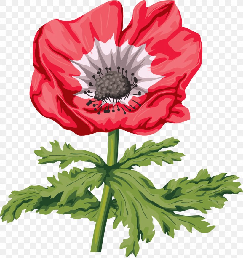 Common Poppy Remembrance Poppy Flower Clip Art, PNG, 1090x1159px, Poppy, Anemone, Annual Plant, Chrysanths, Common Poppy Download Free