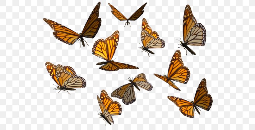 Monarch Butterfly Clip Art, PNG, 600x420px, 3d Computer Graphics, Butterfly, Arthropod, Brush Footed Butterfly, Butterflies And Moths Download Free