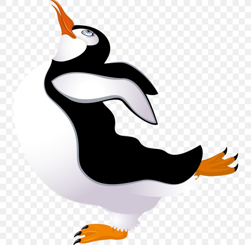 Penguin Clip Art, PNG, 737x800px, Penguin, Animal, Animation, Beak, Bird Download Free
