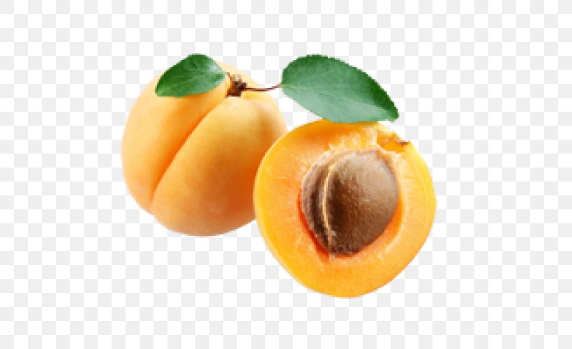 Apricot Clip Art, PNG, 500x500px, Apricot, Food, Fruit, Image File Formats, Image Resolution Download Free