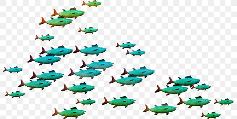 Fish Flock Digital Image Clip Art, PNG, 800x412px, Fish, Animal, Digital Image, Drawing, Flock Download Free