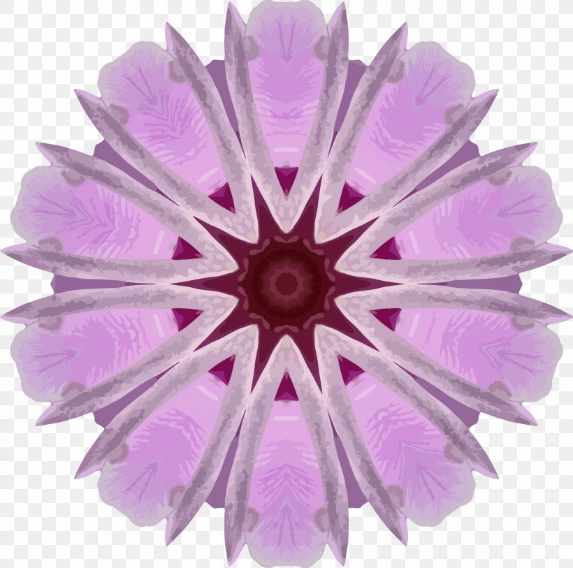 Flower Lilac Transvaal Daisy Clip Art, PNG, 2400x2381px, Flower, Cut Flowers, Lavender, Lilac, Magenta Download Free