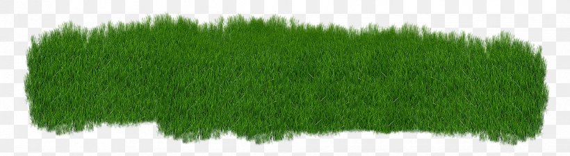 Grass Lawn Grasgroen Clip Art, PNG, 1236x340px, Grass, Artificial Turf, Commodity, Grasgroen, Grass Family Download Free