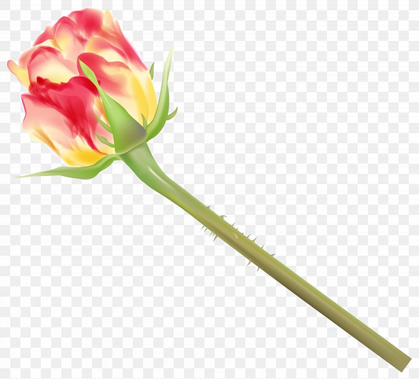 Rose Clip Art, PNG, 6266x5666px, Rose, Art, Bud, Cut Flowers, Flower Download Free