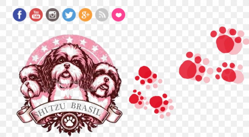 Shih Tzu Lhasa Apso Puppy, PNG, 909x504px, Shih Tzu, Art, Brand, Dog, Dog Breed Download Free
