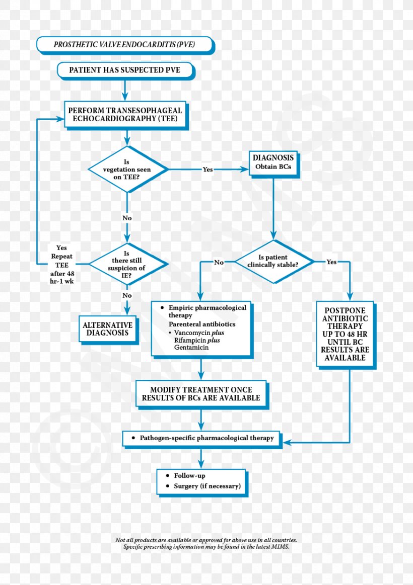 Treatment Of Infective Endocarditis Therapy Infection, PNG, 874x1240px, Therapy, American Heart Association, Antibiotics, Area, Diagram Download Free