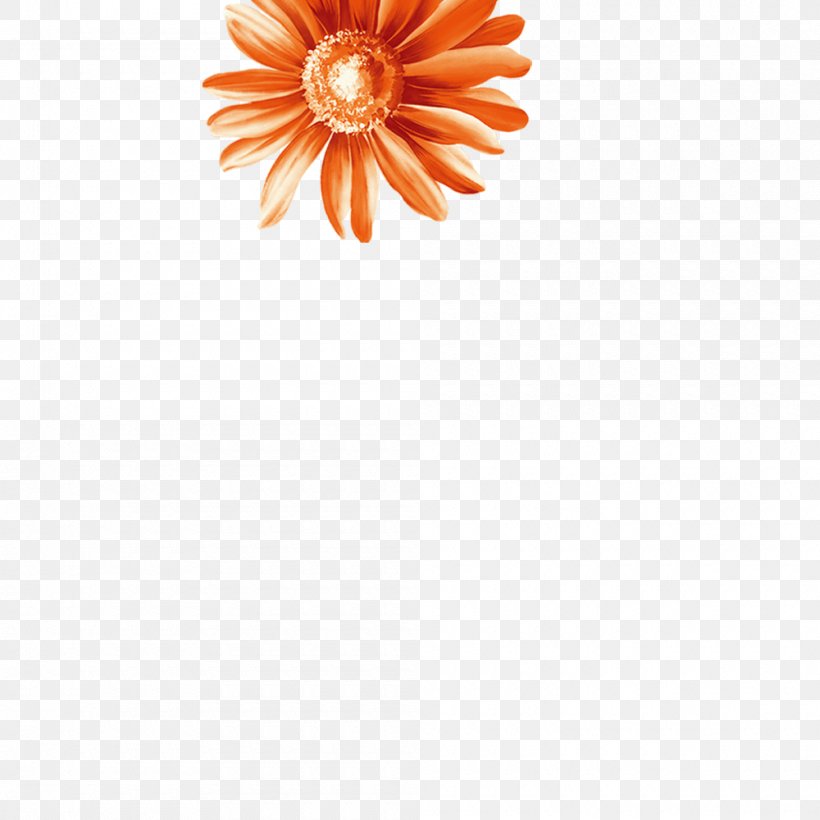 Petal Flooring Dahlia Pattern, PNG, 1000x1000px, Petal, Dahlia, Flooring, Flower, Orange Download Free