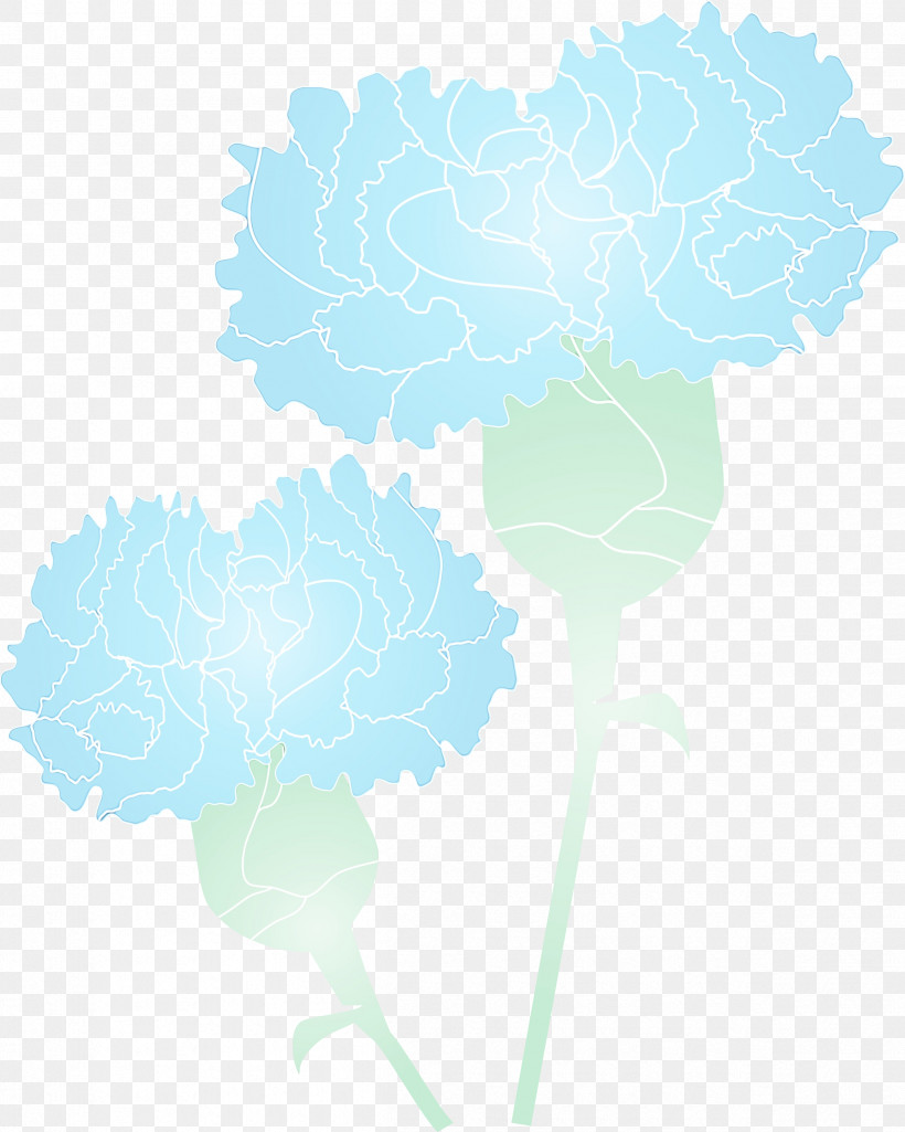 Turquoise Leaf Cloud Aqua Plant, PNG, 2399x3000px, Mothers Day Carnation, Aqua, Cloud, Flower, Leaf Download Free