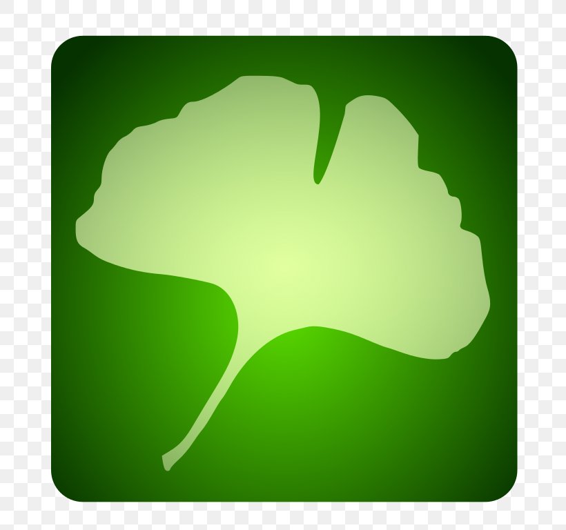 Desktop Wallpaper Tree Leaf Green, PNG, 768x768px, Tree, Computer, Grass, Green, Leaf Download Free