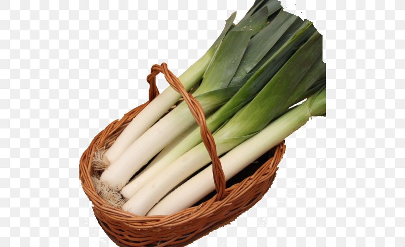 Leek Welsh Onion Garlic Shallot Scallion, PNG, 500x500px, Leek, Cholesterol, Food, Fruit, Garlic Download Free