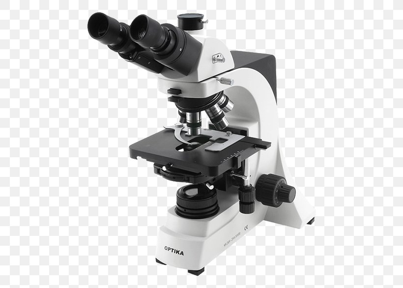 Optical Microscope Optics Inverted Microscope Phase Contrast Microscopy, PNG, 600x586px, Optical Microscope, Darkfield Microscopy, Digital Microscope, Inverted Microscope, Laboratory Download Free